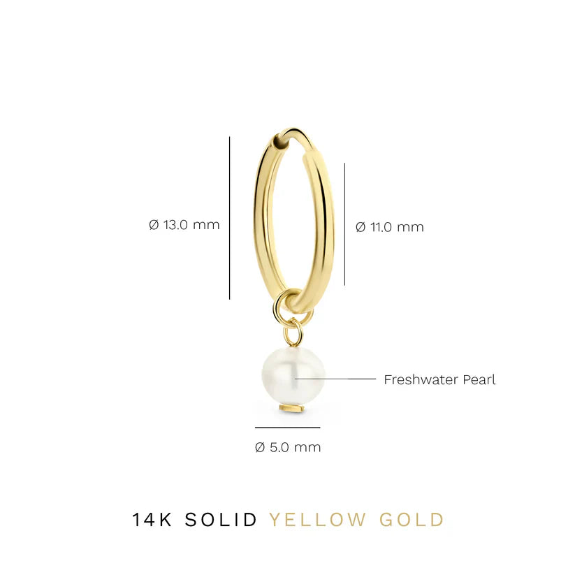 Delia Crest Earrings | 14k Gold Tone
