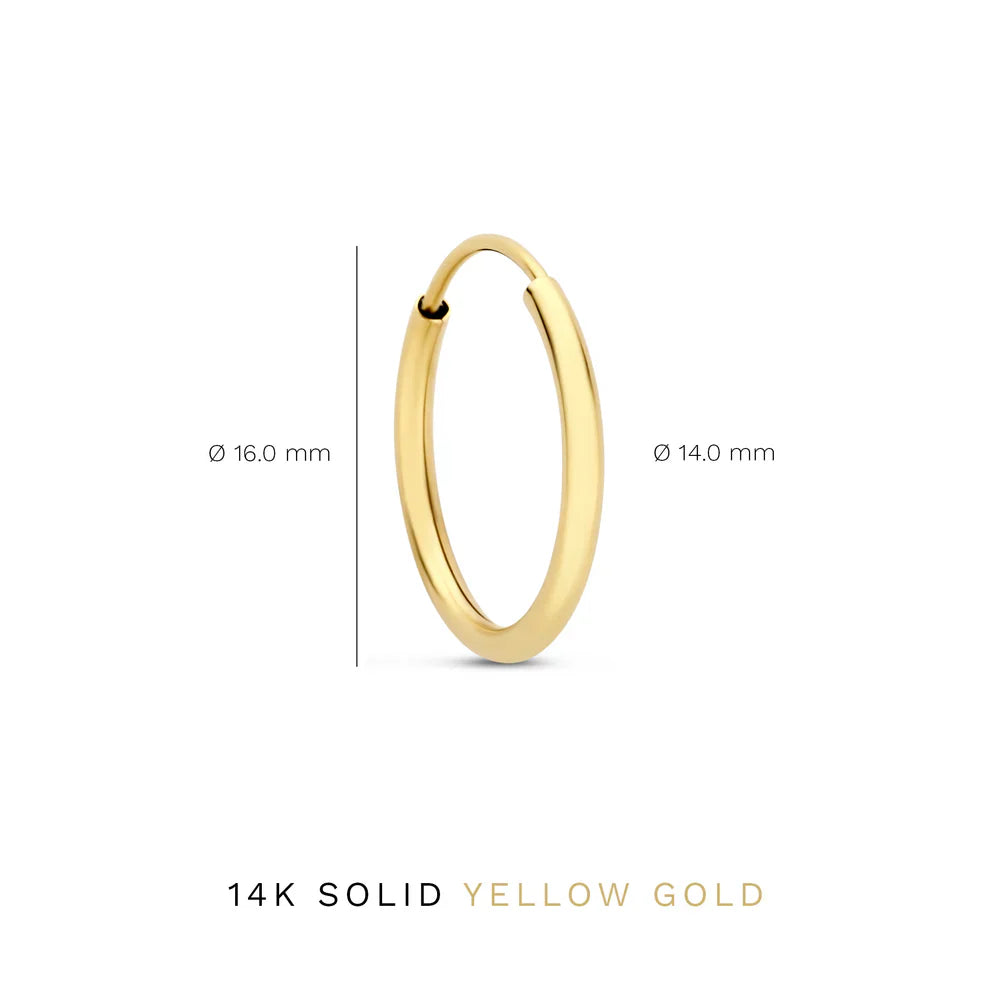 Noémie Sorel Earrings | 14k Gold Tone