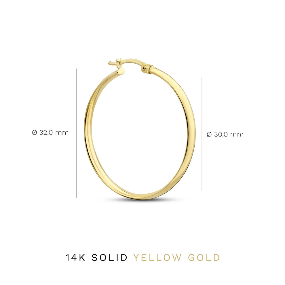 Noa Serane Earrings | 14k Gold Tone